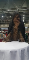 Vienna_Comic_Con_010